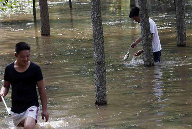 连续暴雨天鱼塘的管理,下暴雨后鱼塘有泡沫怎样处理