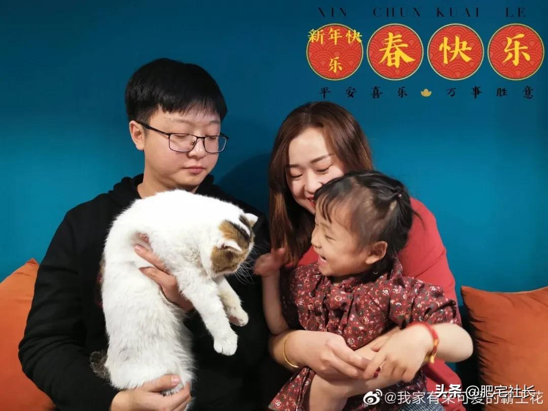 从校园到婚纱有多甜,从校园到婚纱超甜小说