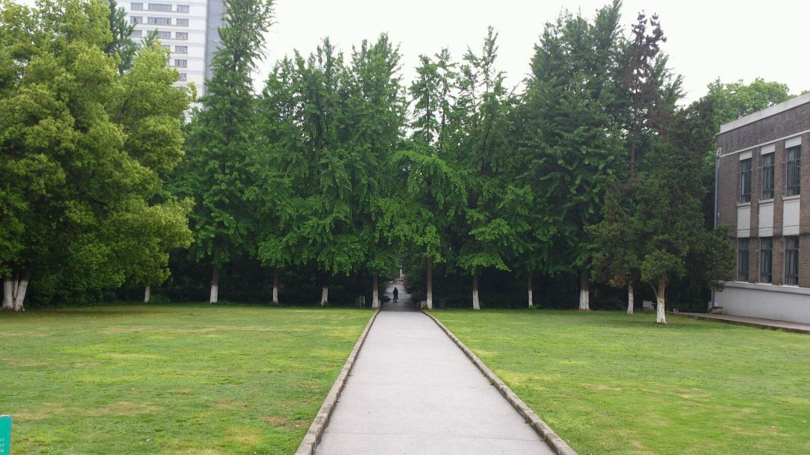 初中一年级英语单词及短语,人教版初中英语固定搭配和短语