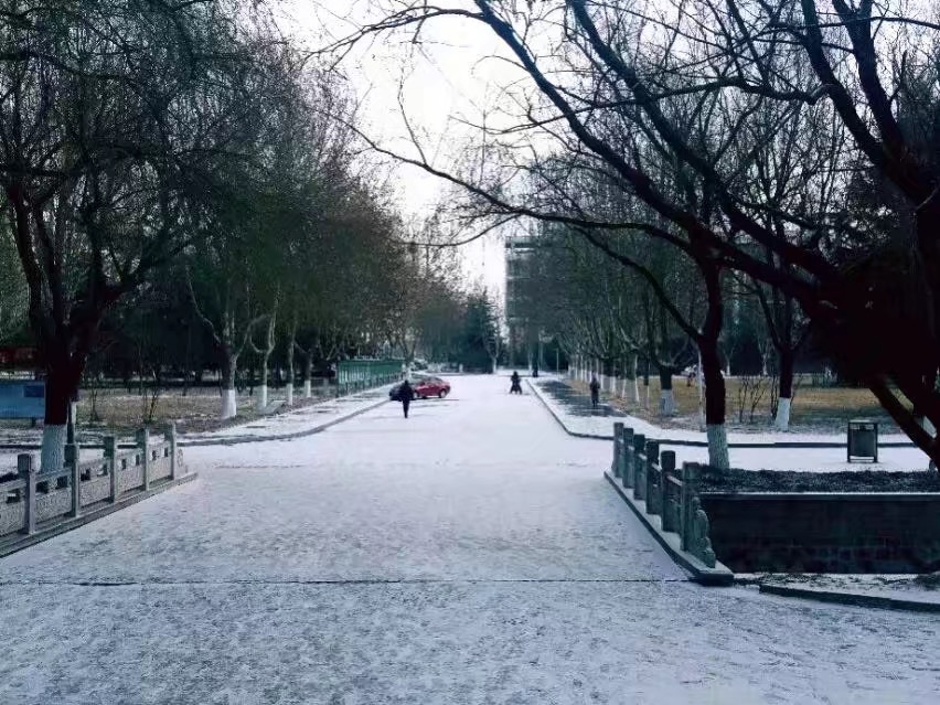 你与冬天有一场雪的距离,你与冬天之间差什么