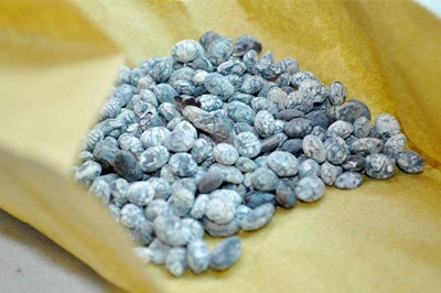 红糖红枣生姜水可以治鼻炎吗,红糖治鼻炎的配方