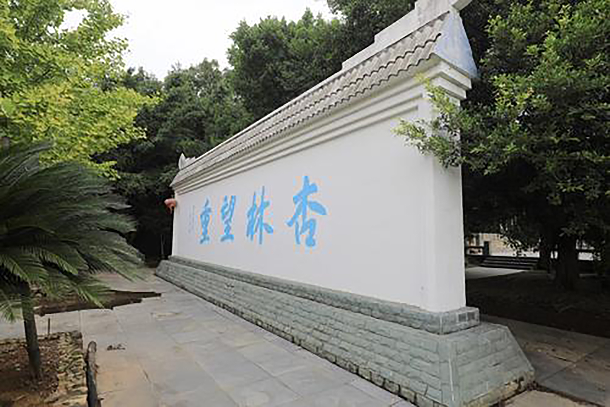 杏林属于中医的别称吗,杏林在中医里面有什么典故