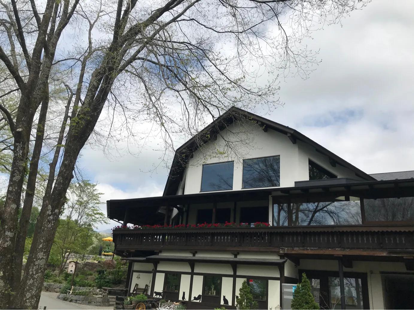 日本疫情举行聚会,日本民众疫情聚会