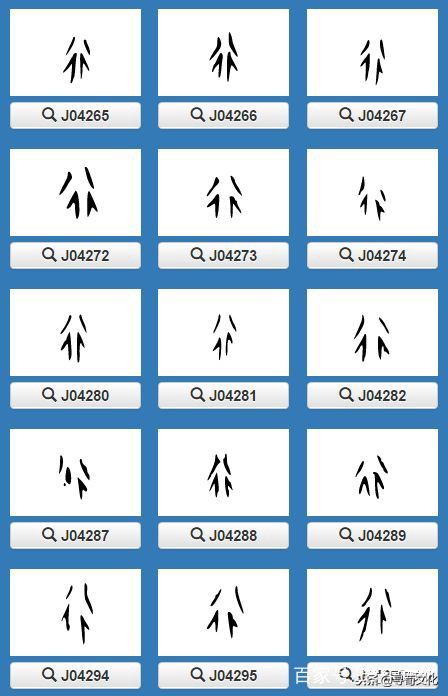 百家姓中汉字起源,汉字起源与百家姓