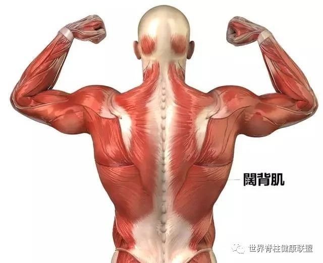 体能康复与体能训练,体能康复的定义是什么