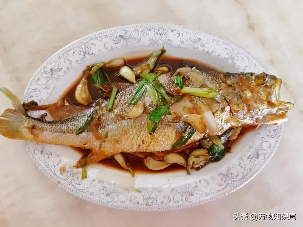 从喂鸡喂鸭到一条11万,我国狠心流放30年,为何还救不起一条鱼?