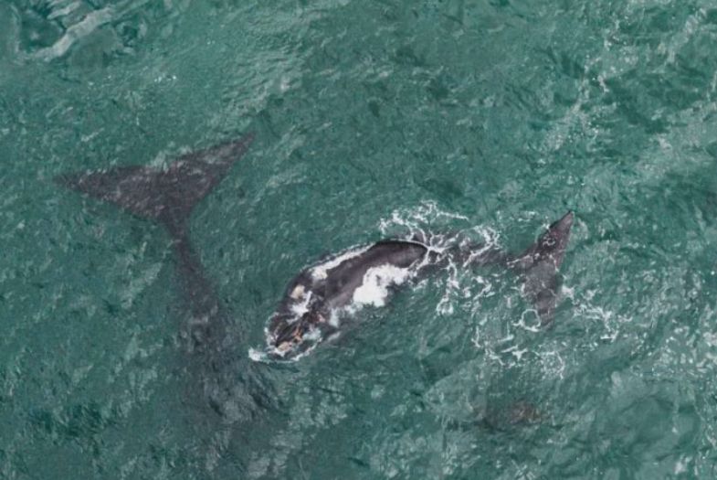 80个国家环游世界,环游世界走遍197个国家