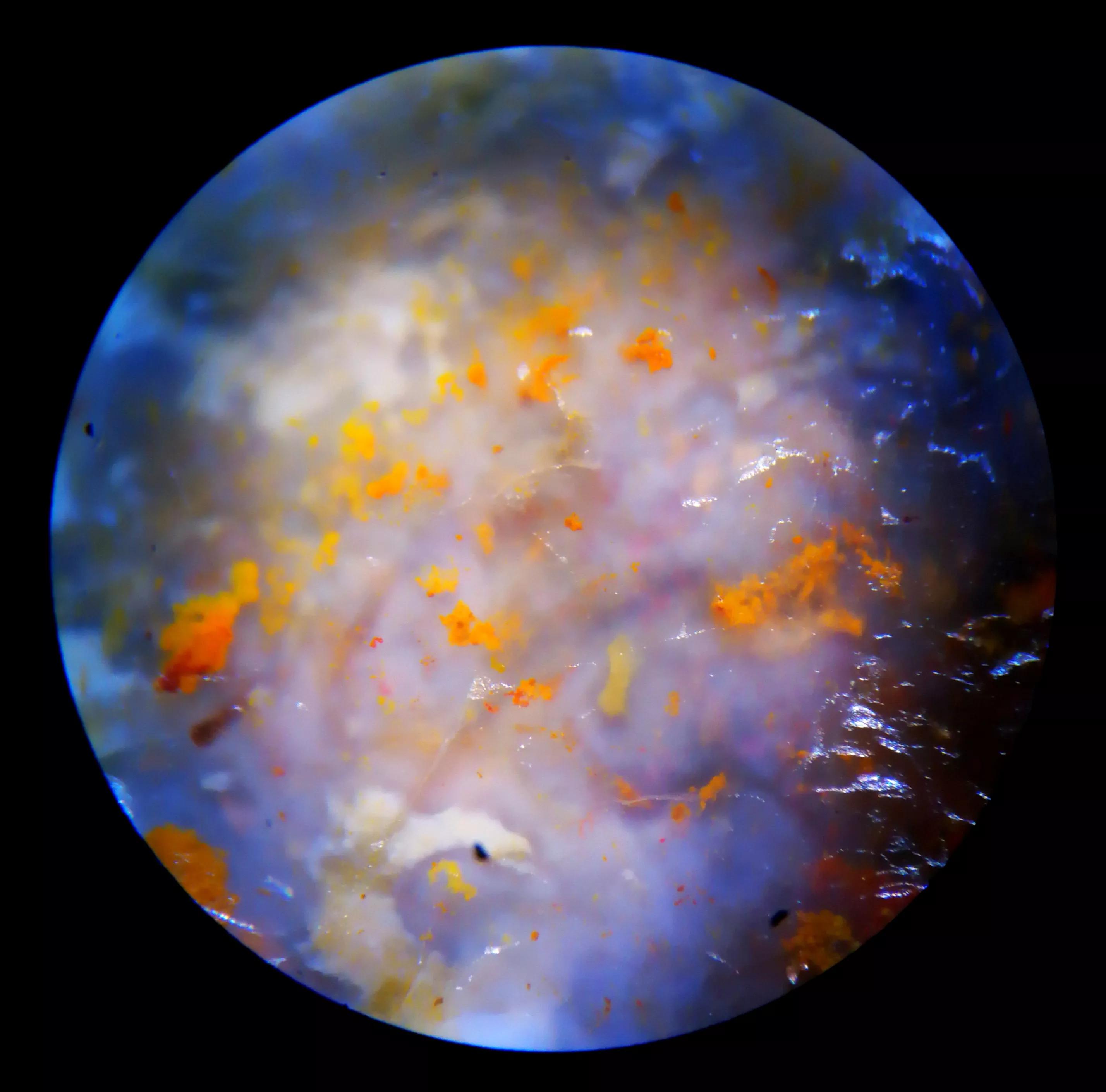 古象雄文化西藏,古象雄文化遗址在西藏什么地方