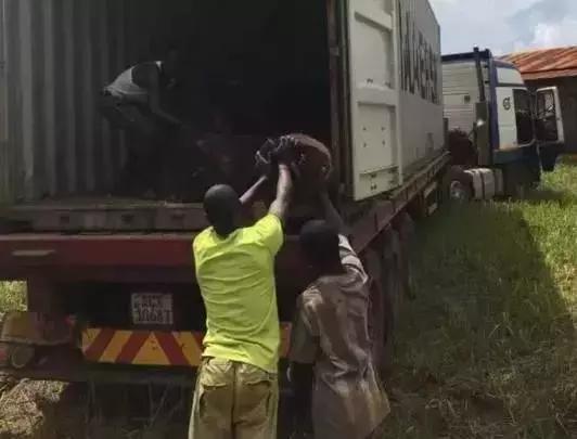 血檀市场,红木排名血檀