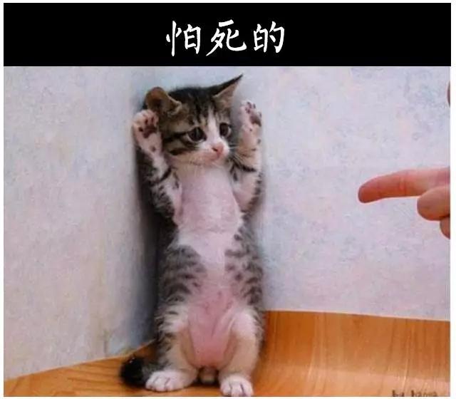 销售的最高境界掌握三大魔鬼法则,顶级销冠的6种销售话术绝招