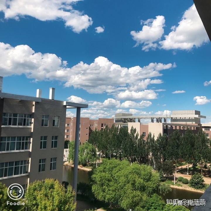 在东北吃饭是一种什么体验,跟东北人吃饭是什么体验