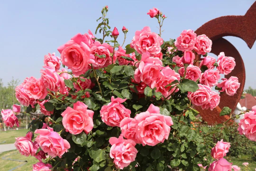 5.17遇见Ta在一起|这里有个不一样的脱单机会,速来~