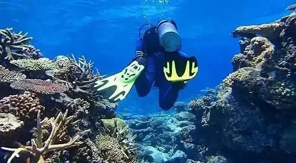 城市印象小区好不好,城市印象海安