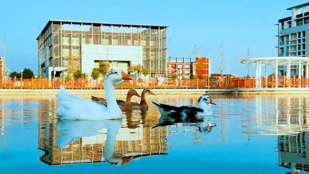 天津医科大学七所直属医院,天津医科大学独立学院是几本