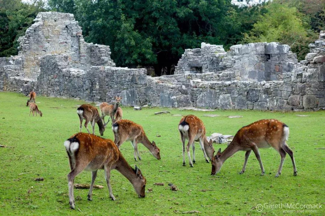 世界上哪些国家禁止离婚,世界上禁止离婚的国家高清视频