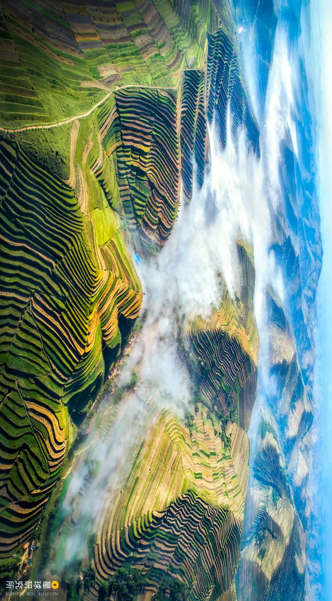 什么是黄河朗诵,什么是黄河洪水