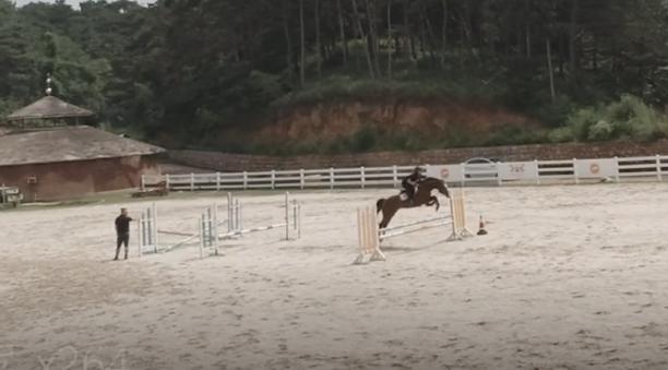 国产红旗车试驾h9,国产巅峰之作红旗s9