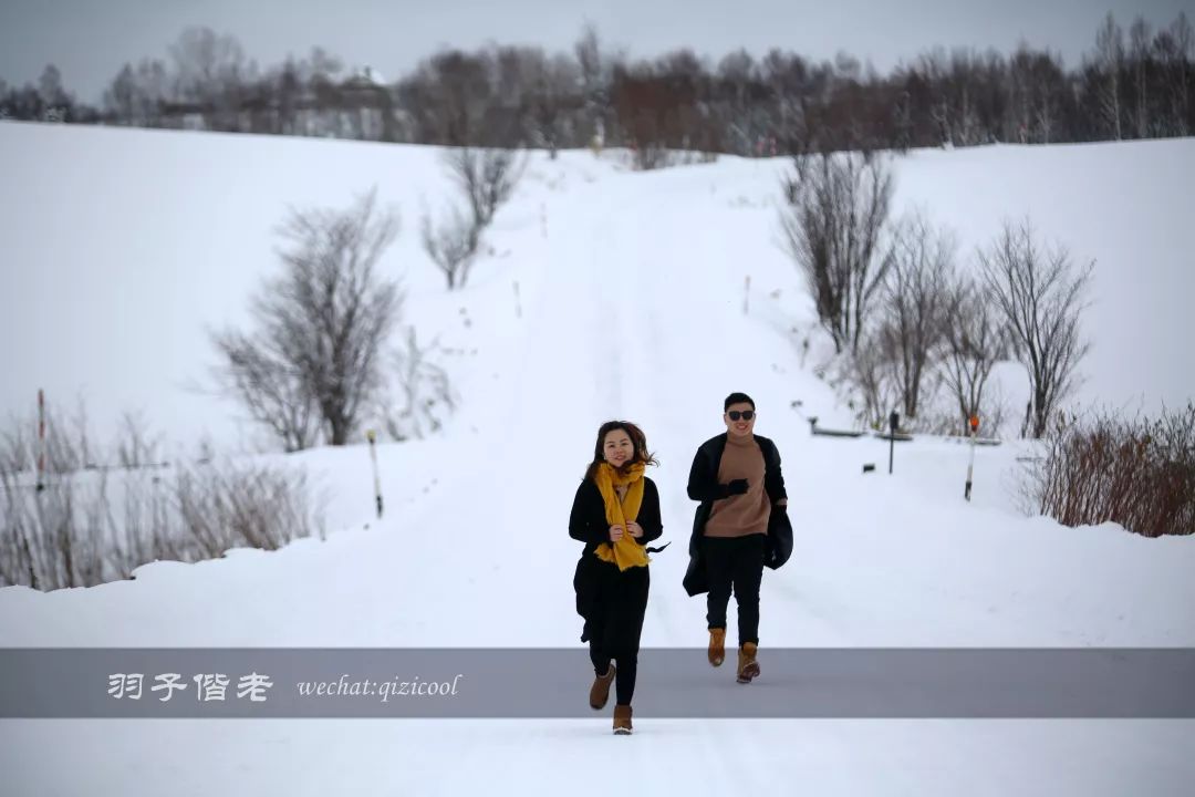 老实说，这一趟北海道就是为了拍好看的照片去的