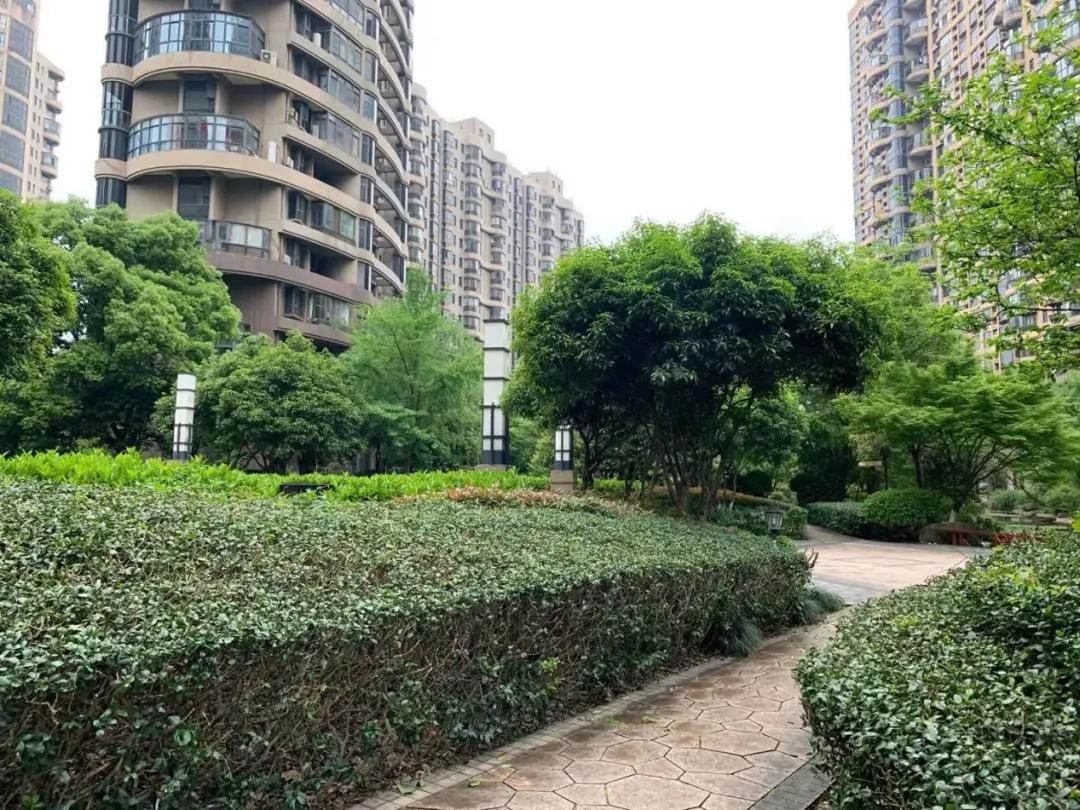 老城中的“奇葩”！这个经典盘的价值有没有被低估？