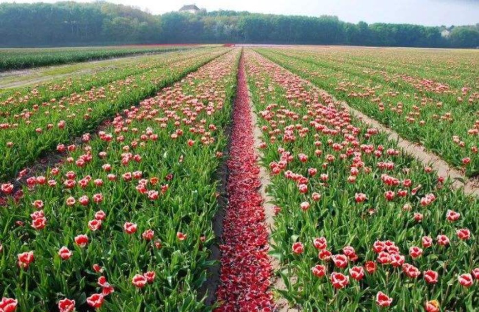 情感迷局全剧,情感迷失如何清醒