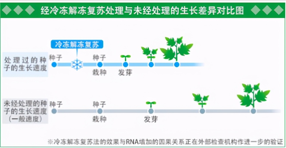 日本香蕉可以带皮吃吗,日本香蕉50元