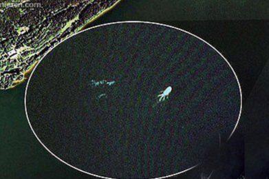 加拿大被视频记录下的水中魔鬼，是水中巨蟒还是史前怪兽？