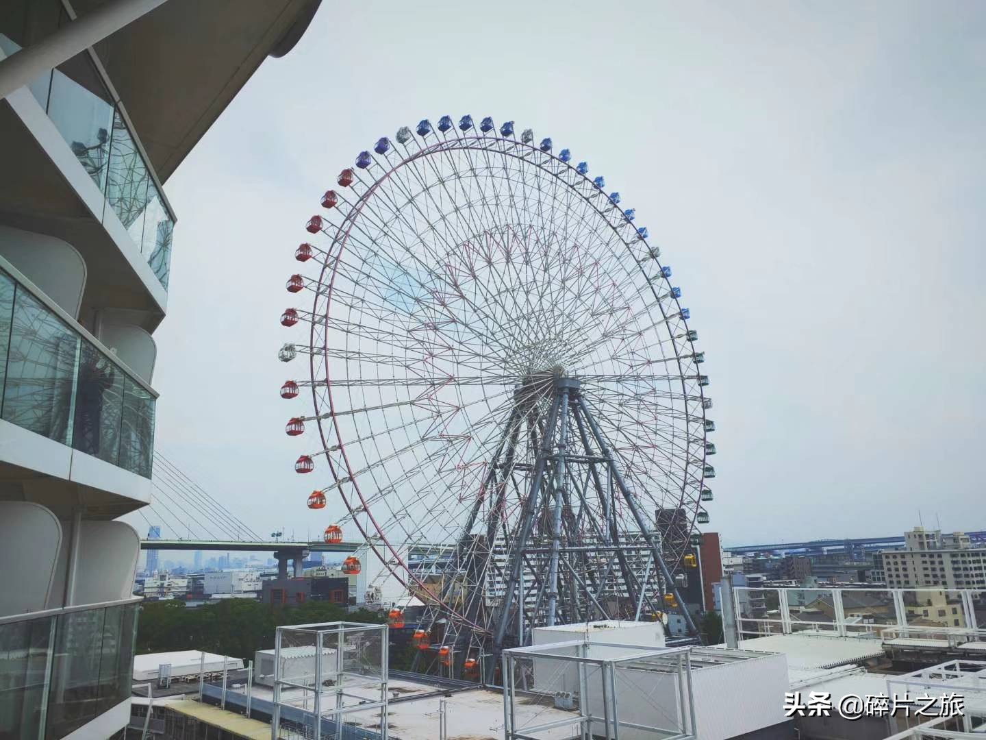 上海游轮去日本攻略,上海去日本的邮轮旅游攻略