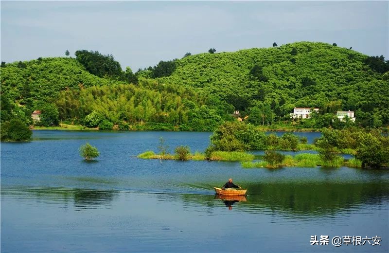 谢谢你来了全集,谢谢你医生