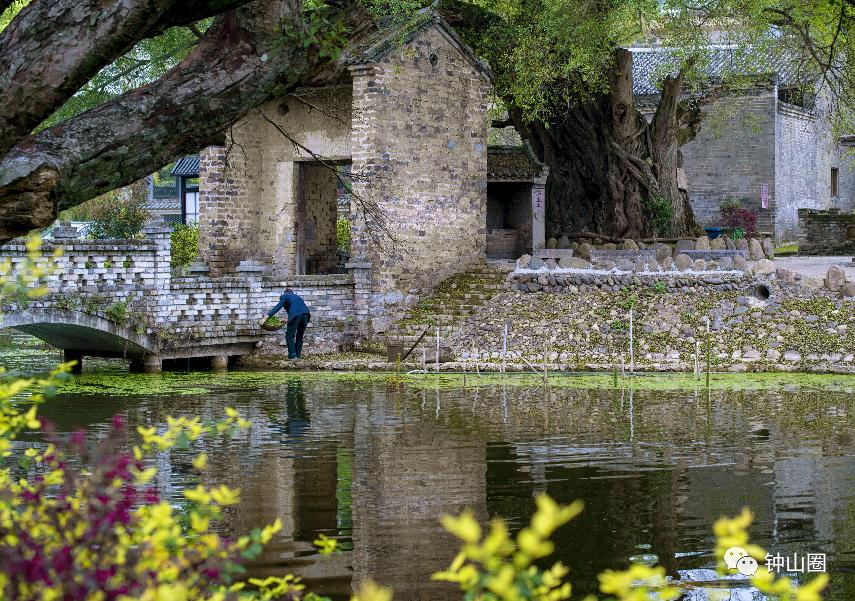 古村探险视频,古村探险攻略