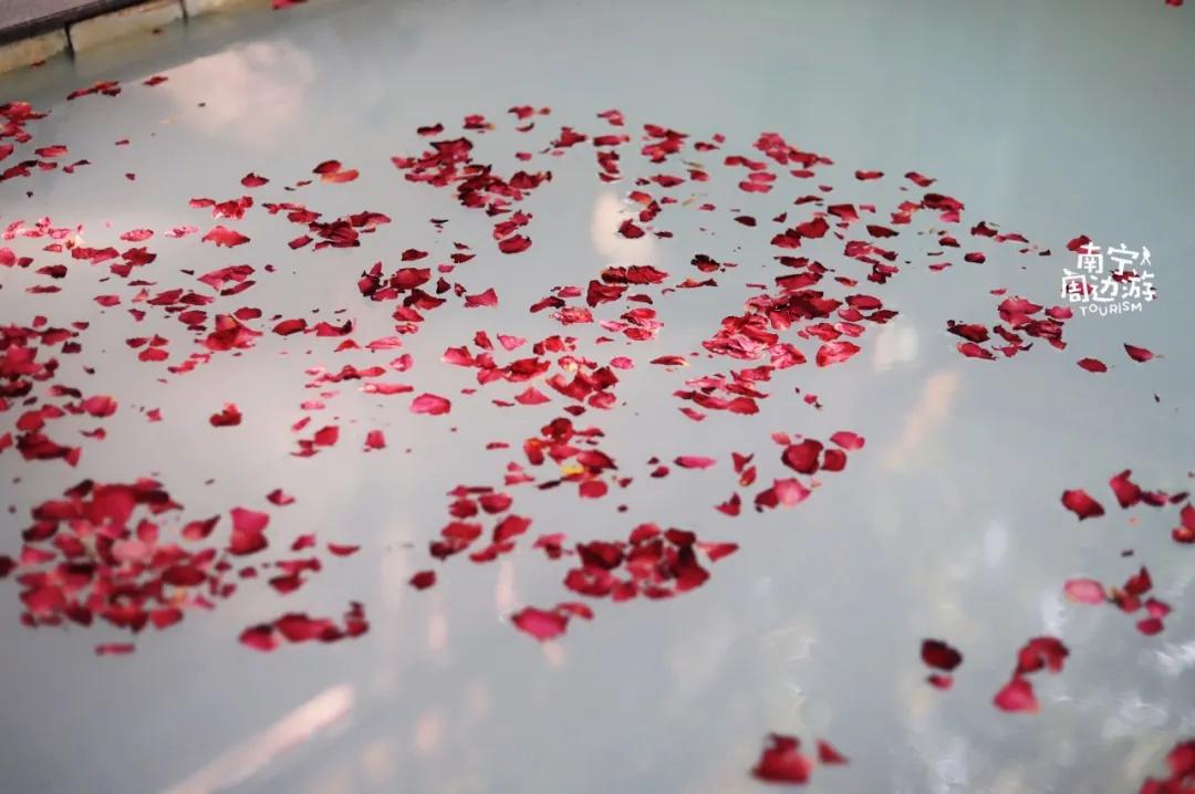 南宁花海公园在哪里,南宁嘉和城附近花海