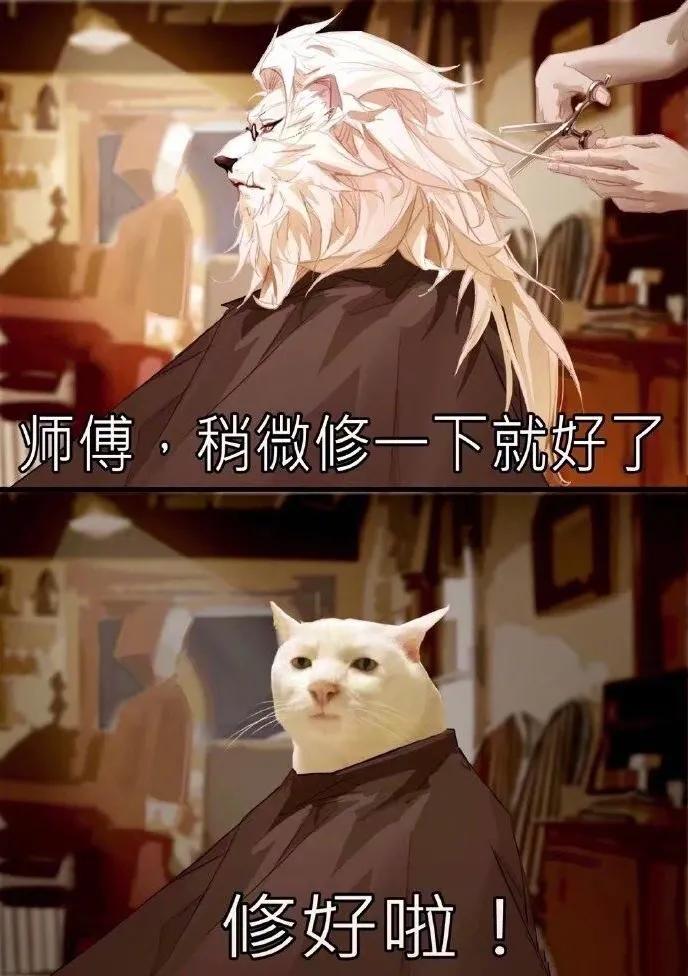 tony老师高阶换头术,90后tony老师换头术