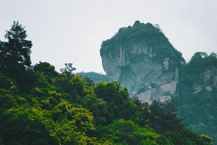如果灵魂有香气希望是桂花味,如果灵魂有香气