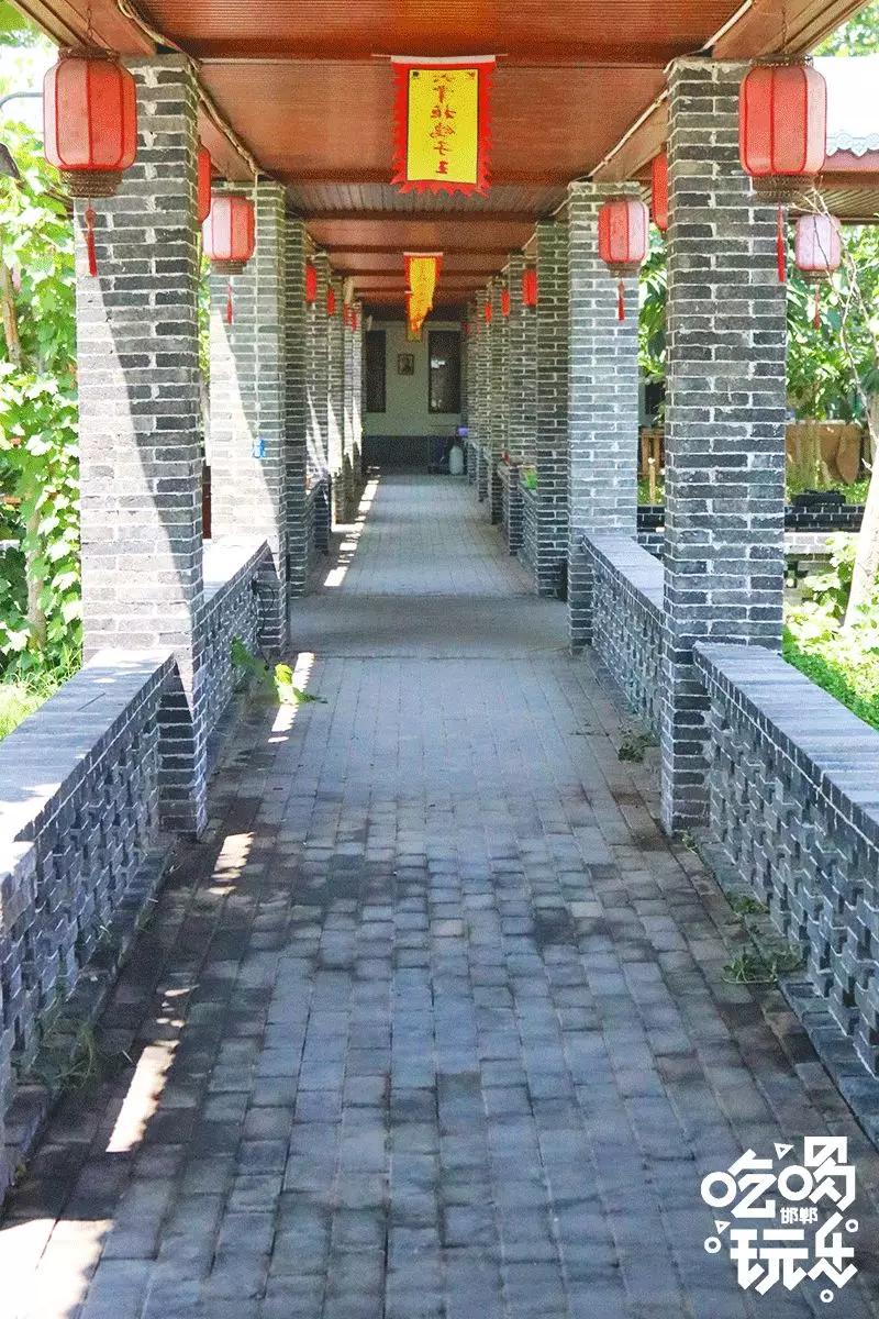 秋冬来袭！来碗养生汤！吃着鸽子喝着汤！请客有面子就到鸽子王