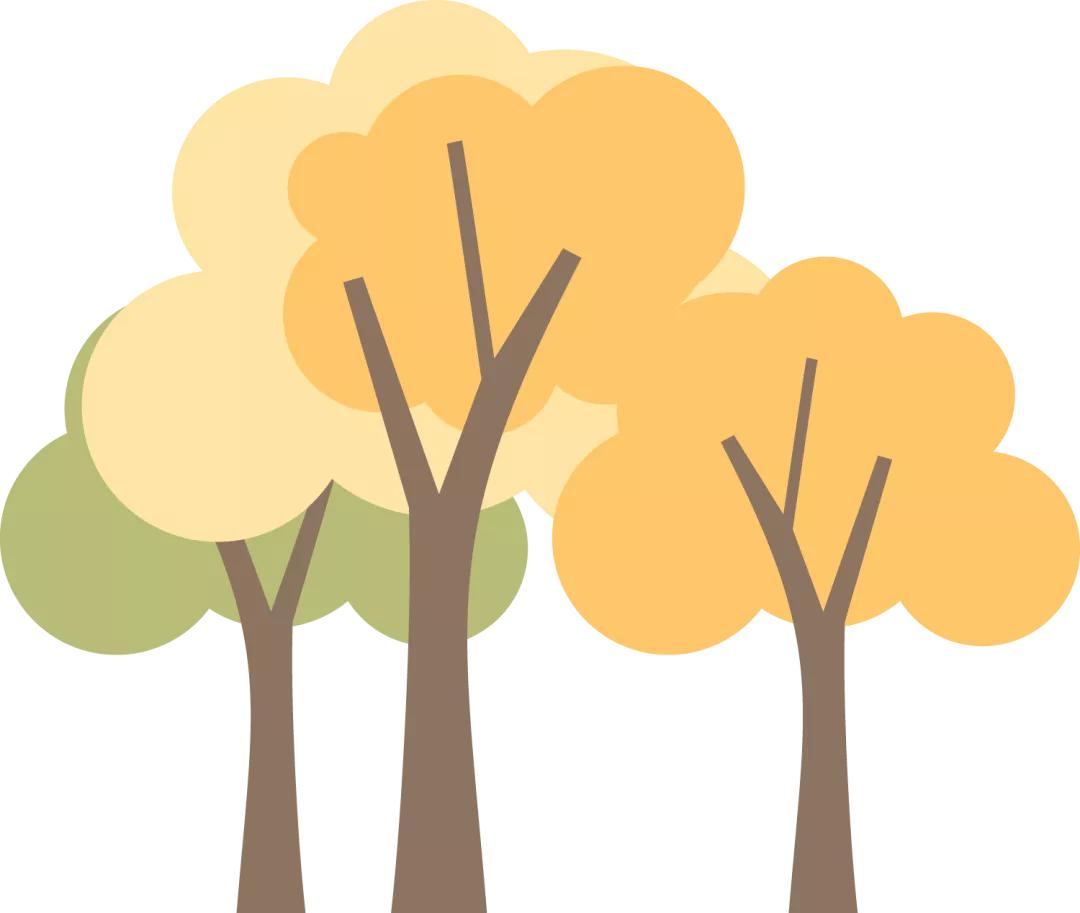 大唐不夜城几点拍照好看,大唐不夜城拍照参数