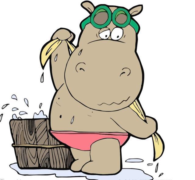 卫生间浴帘好用吗,磁性浴帘与玻璃浴房哪个好