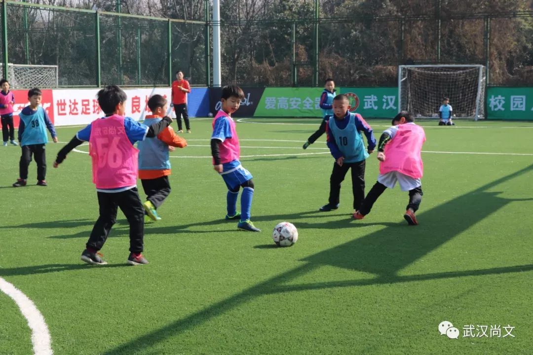 2020青训杯全国青少年足球冠军赛,2019育星杯比赛