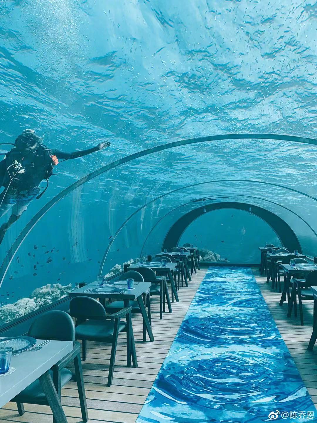 马尔代夫法式水上餐厅,马尔代夫海底餐厅视频