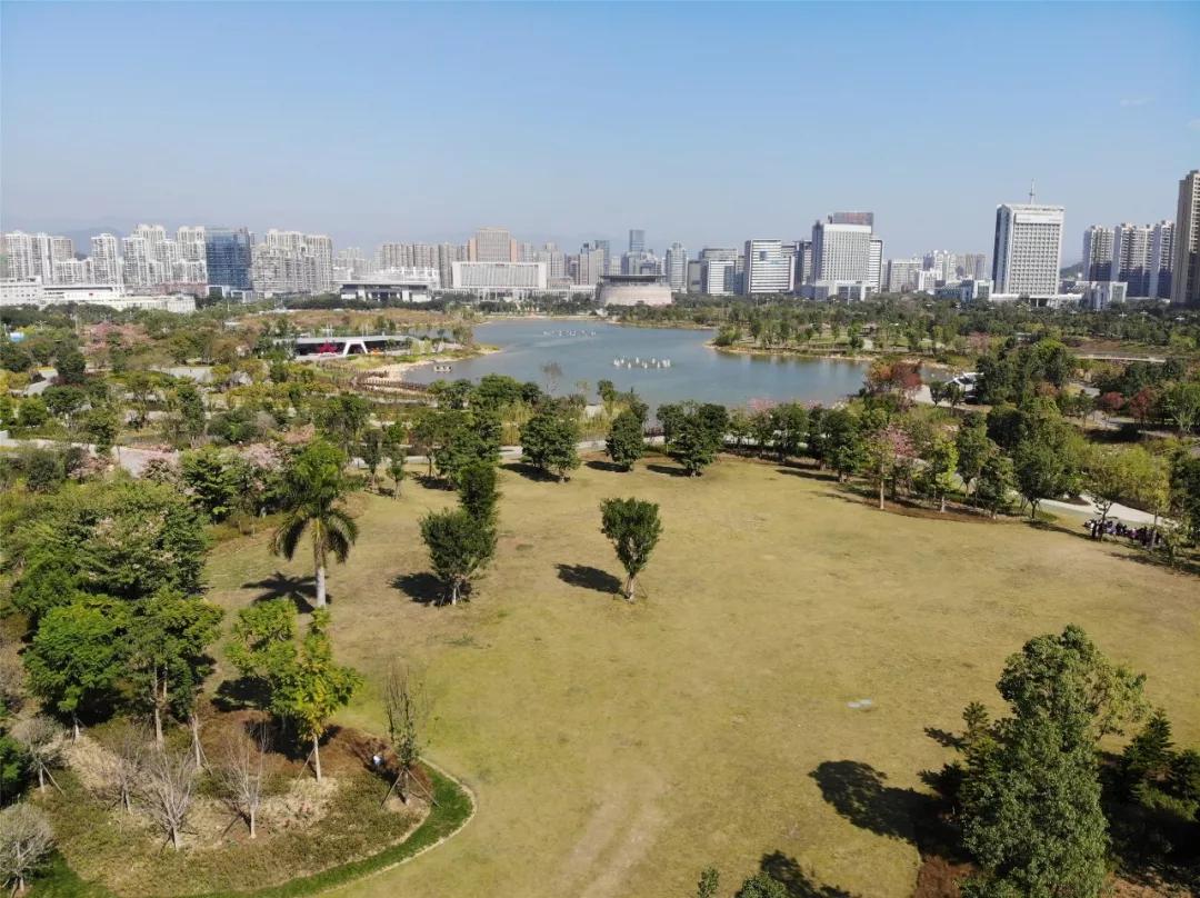 龙岩龙津湖区域还有什么楼盘,龙岩新罗龙津湖