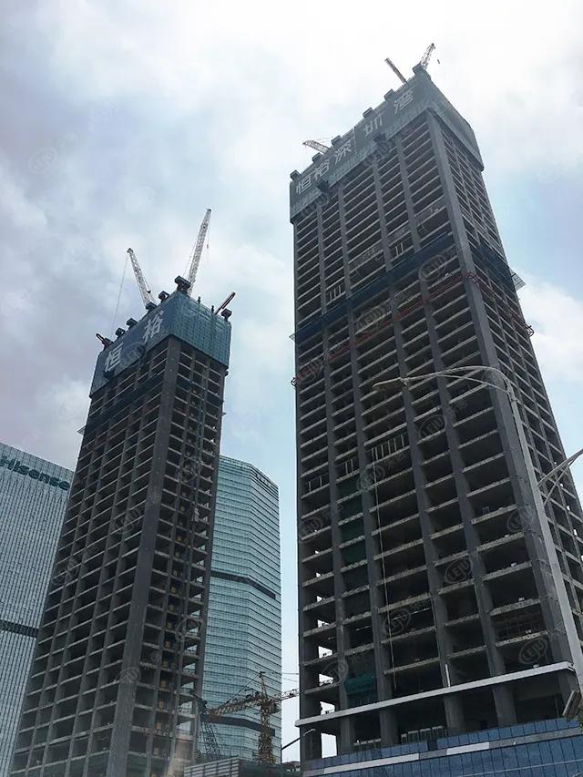 猛虎pk,猛虎和雄狮的pk