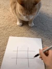 “一个月600买你30句晚安？”哈哈哈，这可恶的虚拟买卖