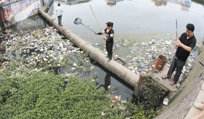 三大公认最脏的鱼鲶鱼,鲶鱼这么脏为什么还能吃