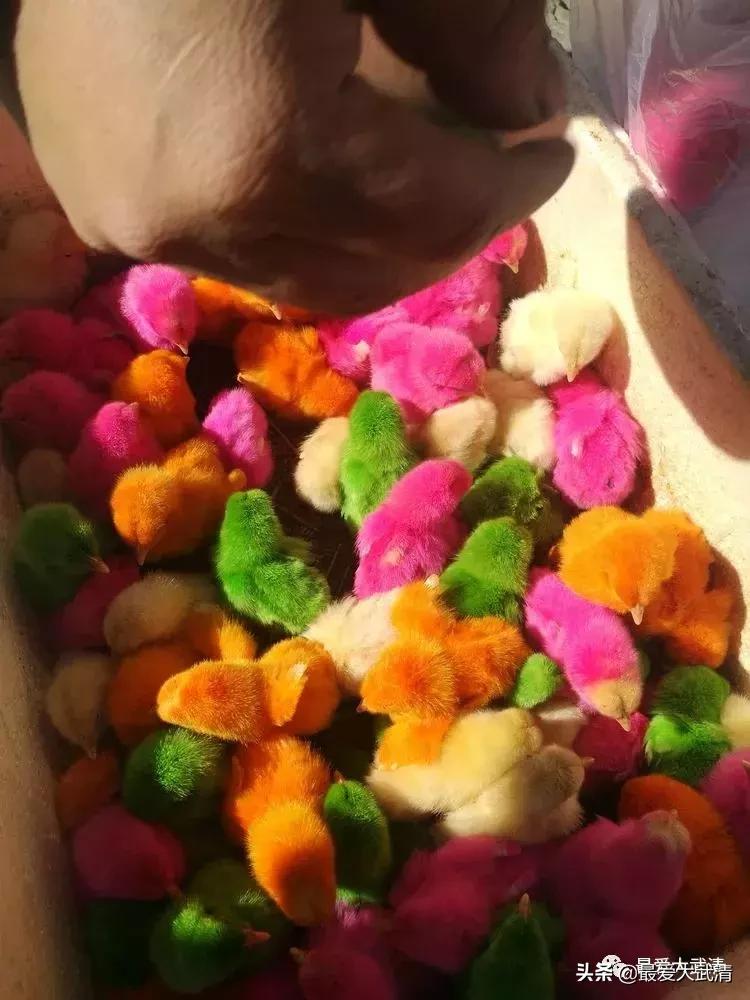 武清六道口的都来看看！写的太好啦！