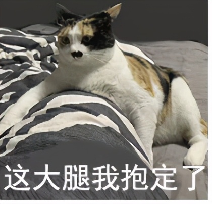 美国最强公立大学!届届承包奥运会全部金牌!UCLA,不说再见