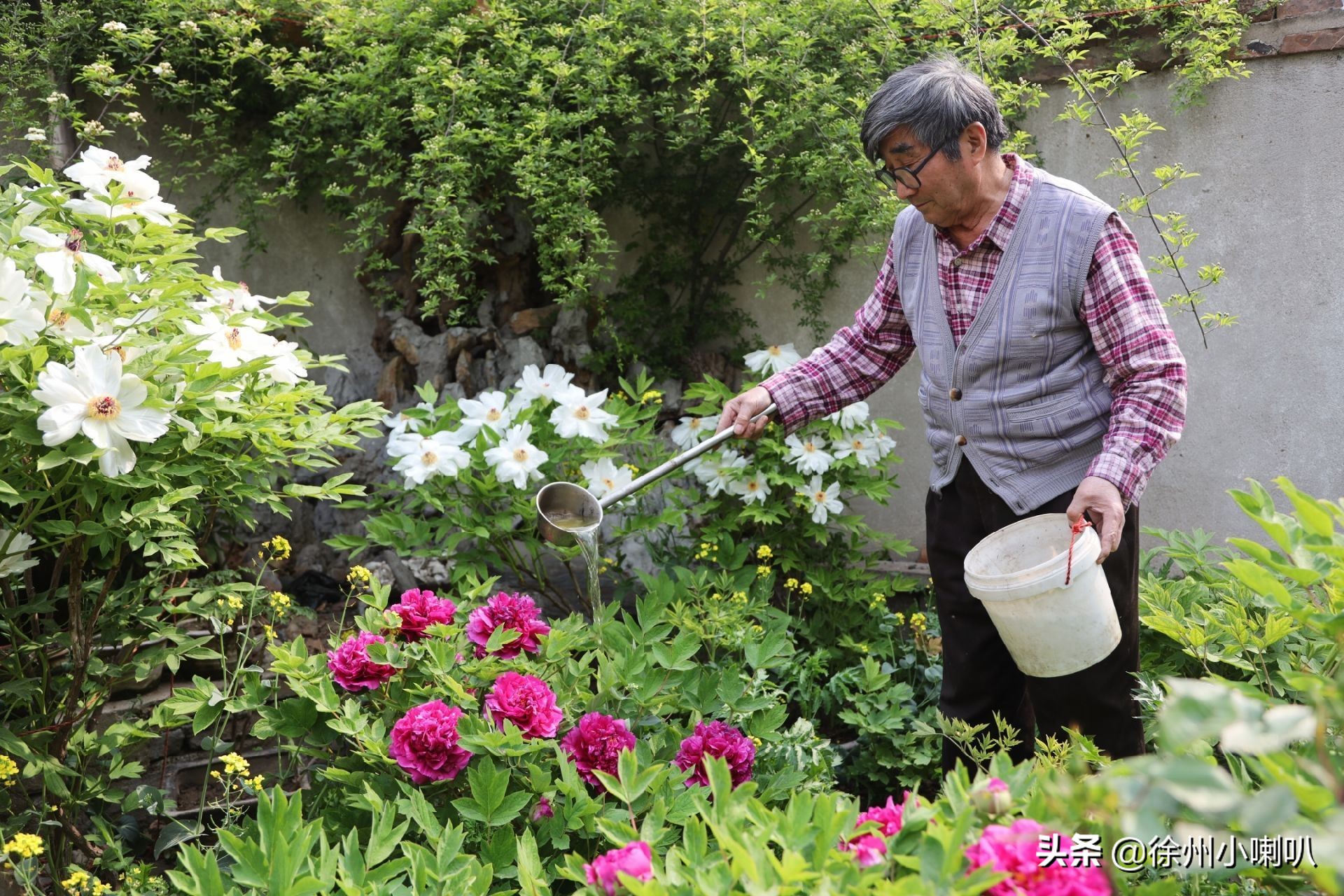 一起养花一起开心一起变老,一起养花种草分享美好