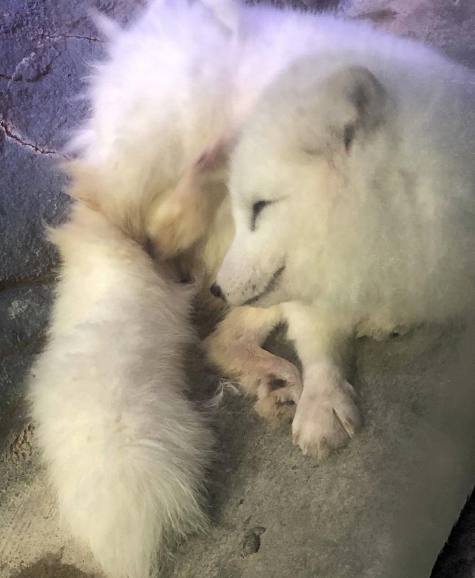 这样的动物园，大家都不要去