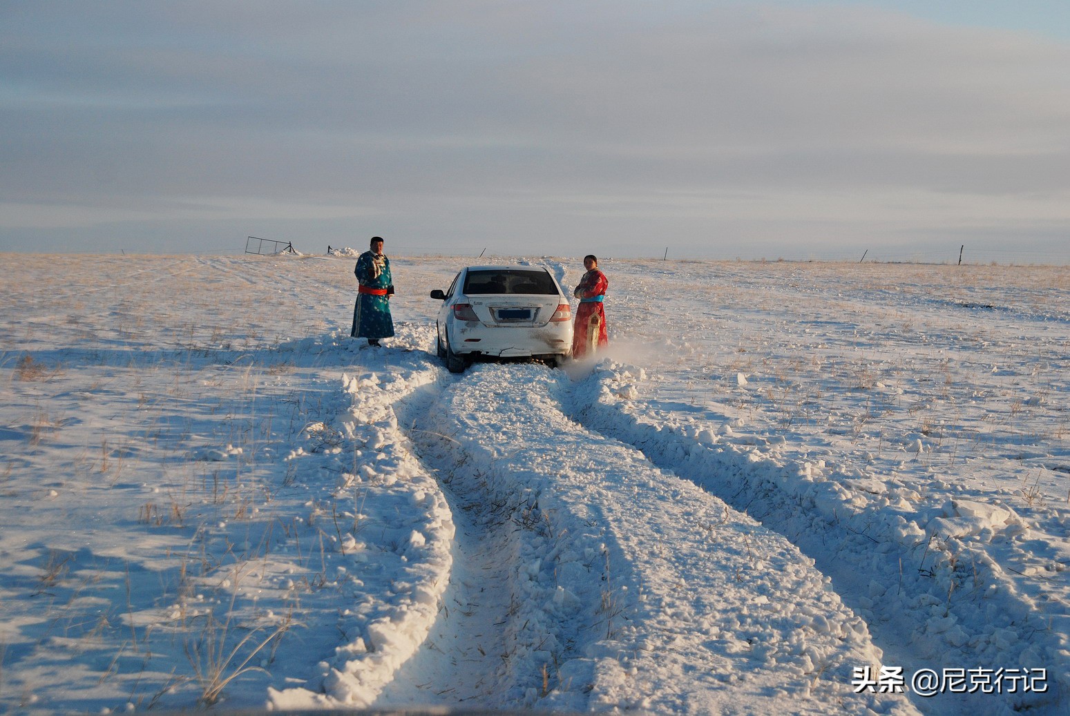 -30℃草原生活：羊群抱团取暖，马背全是冰，牧民坚守自然规律