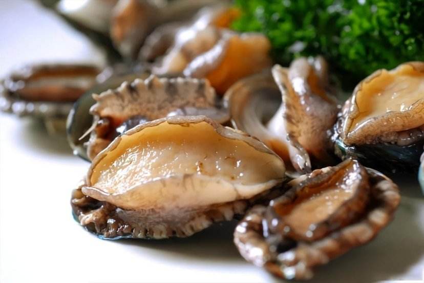 世界鲍鱼品种大全，看完成半个专家了！