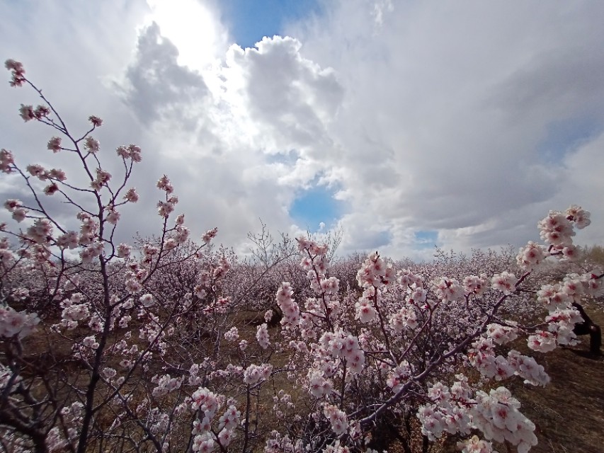 浮云电影,浮云散邓丽君原唱视频