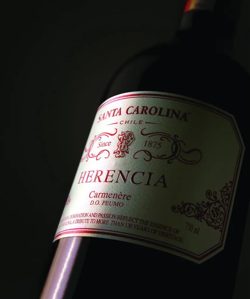 智利18罗汉中性价比最高的,智利十大顶级葡萄酒