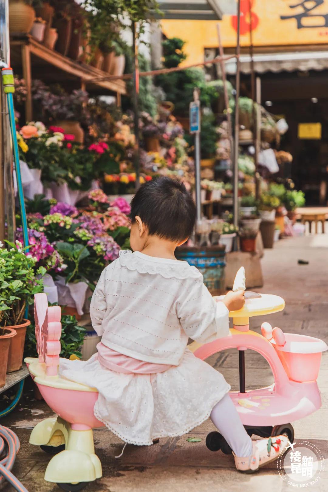 逛逛园博花鸟市场,园博花鸟市场攻略
